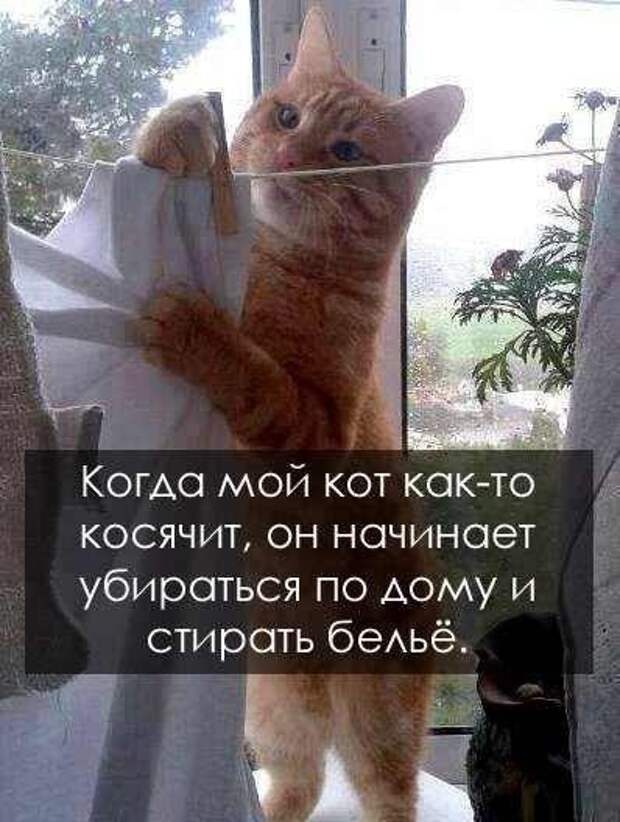 Прикольная подборка фотомемов и картинок Прикольная подборка фотомемов и картинок
