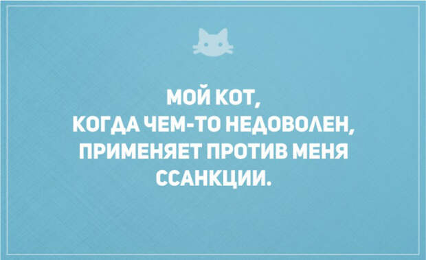 открытки о том, что без кота и жизнь не та (17)