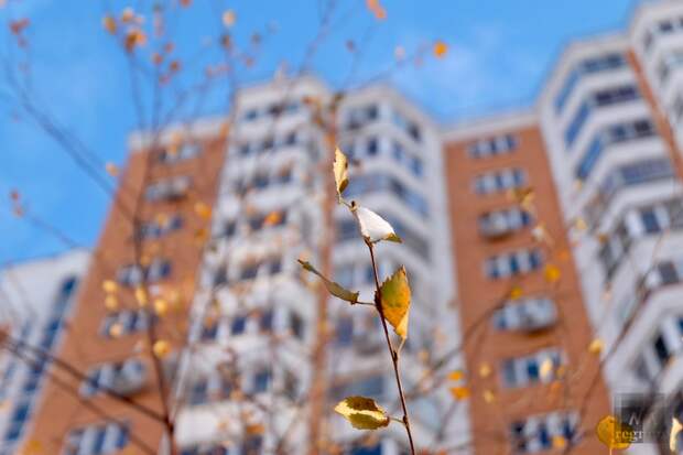 Синоптики прогнозируют до +7 градусов и облачность в Москве 30 апреля