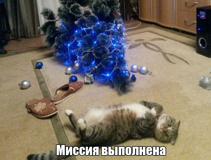 Прикольные картинки картики, прикол, юмор