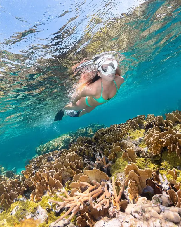 Андре Масгроув (André Musgrove) и его невероятные подводные снимки