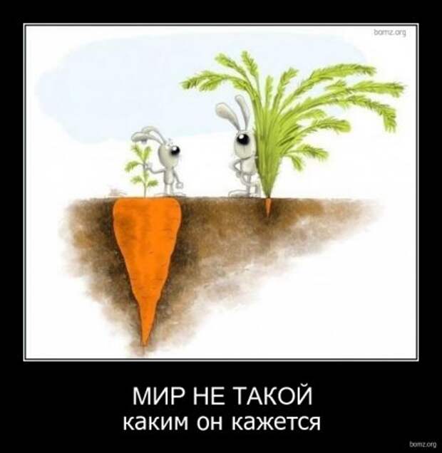 Приколы демотиваторы, смешные надписи и фото.