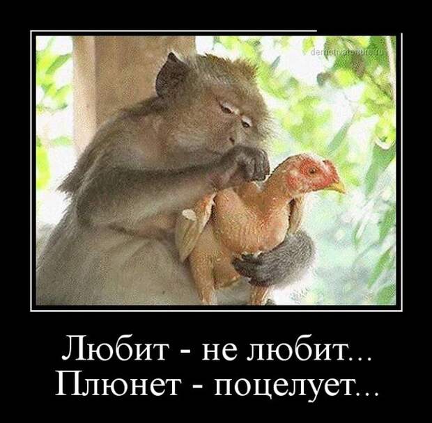 Демотиваторы №1114 (30 фото)