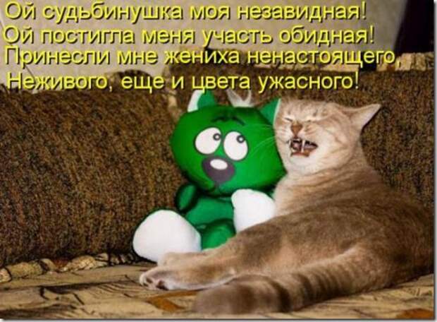 e3d5df50d976f3cab4e5dd60b5a_prev