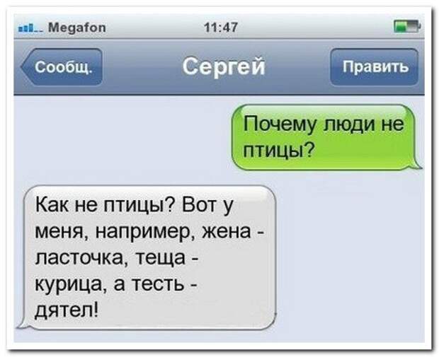 Комментарии из соцсетей