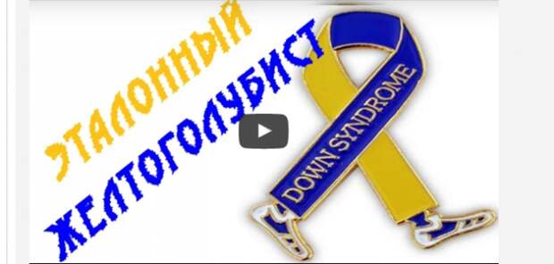Денис Селезнёв. Эталонный желтоголубист