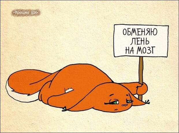 Девичья правда от белки Ши белка, рисунки