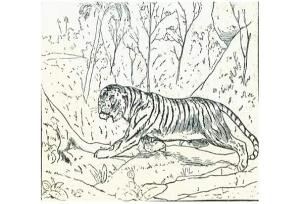 Загадка из Африки: найдите на картинке двух слонов и тигра всего за 15 секунд