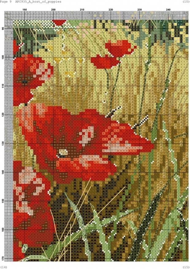 4946750_Anchor_AP1C935_A_Host_of_Poppies009 (494x700, 373Kb)