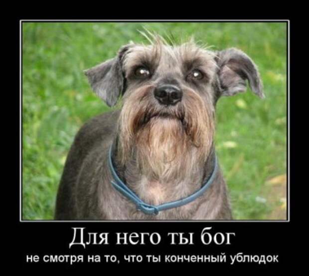 Демотиваторы со смыслом новые.