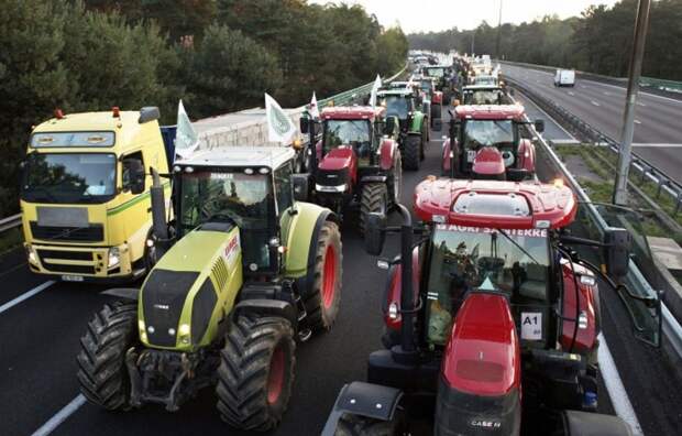 В союзе фермеров ФРГ оценили ущерб от вступления Украины в ЕС
