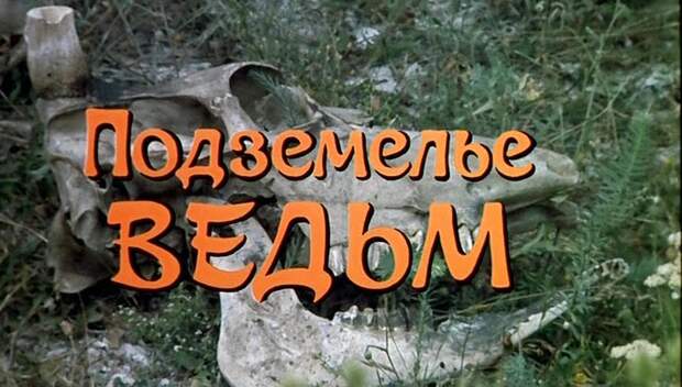 Кадр из к/ф "Подземелье ведьм"