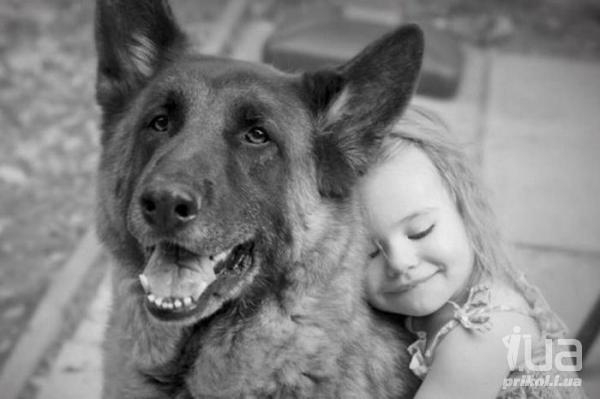 Самые сильные фотографии фото, фото со смыслом