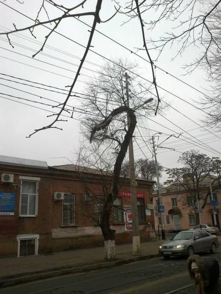 Прикольные картинки