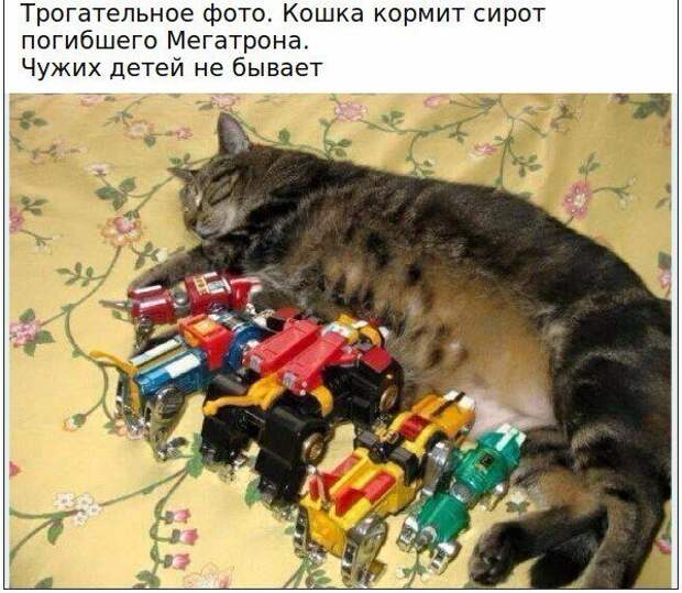 Разнообразная подборка =) Улыбок! Разнообразная подборка =) Улыбок!