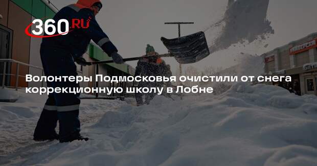 Волонтеры Подмосковья очистили от снега коррекционную школу в Лобне