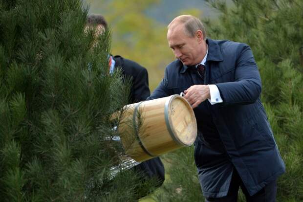Владимир Путин на лужайке летнего сада конгресс-центра. По замыслу организаторов, новая аллея будет напоминать гостям о состоявшемся в год 25-летия АТЭС Пекинском саммите