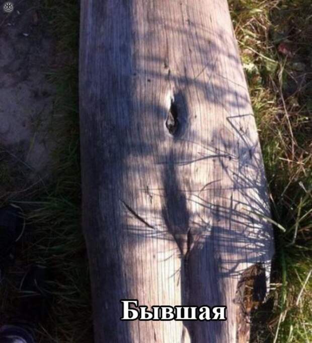 Нескучная ерунда 14