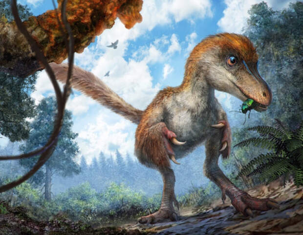 Динозавр размером с воробья. /Рисунок: Xing McKellar, Cheung Chung, nat-geo.ru