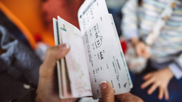 ГП России требует национализировать системы бронирования авиабилетов