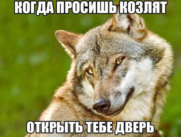 Прикольные картинки (87 фото)