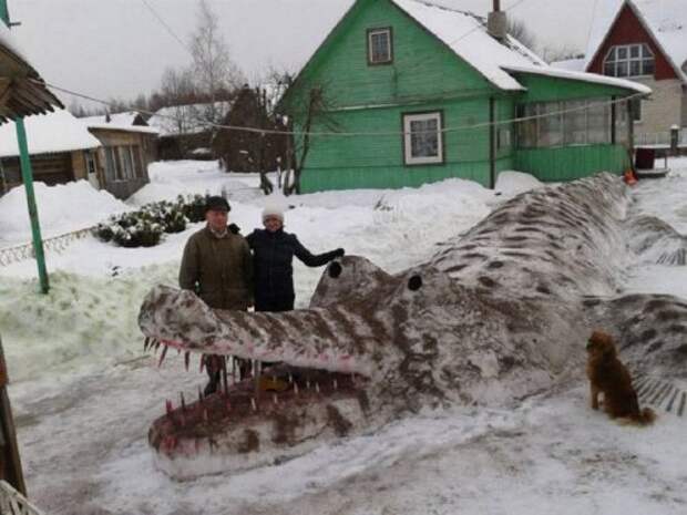 Прикольные картинки с подписями и без (57 шт)