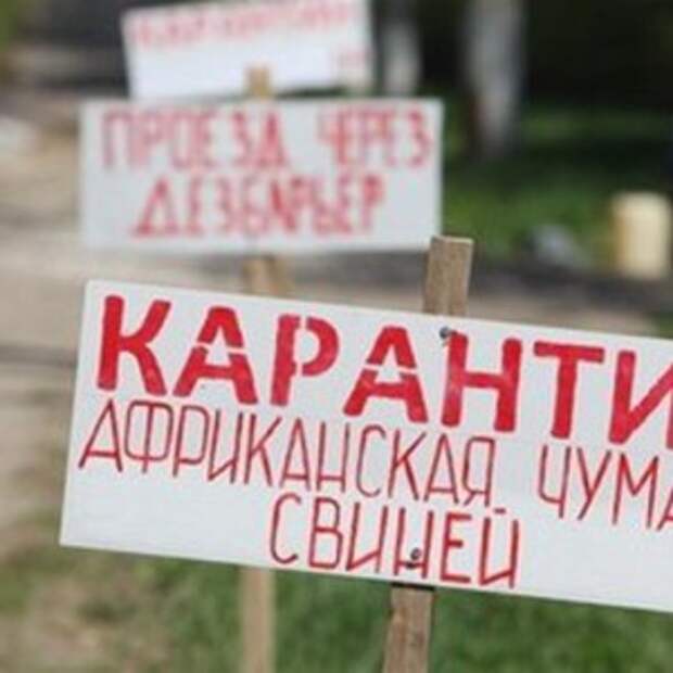 Новости Крыма