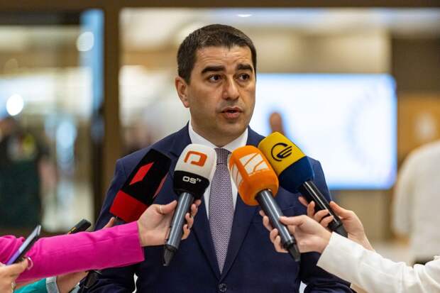 Глава парламента Папуашвили: ЕС хочет танками насадить демократию в Грузии