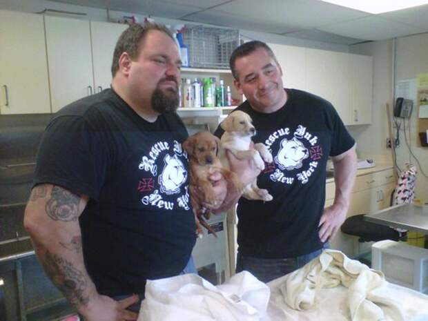 a film about Rescue Animal Rescue Inc.