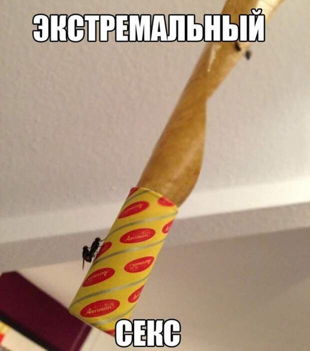 Прикольные и смешные фото девушки, животные, коты, прикол, юмор