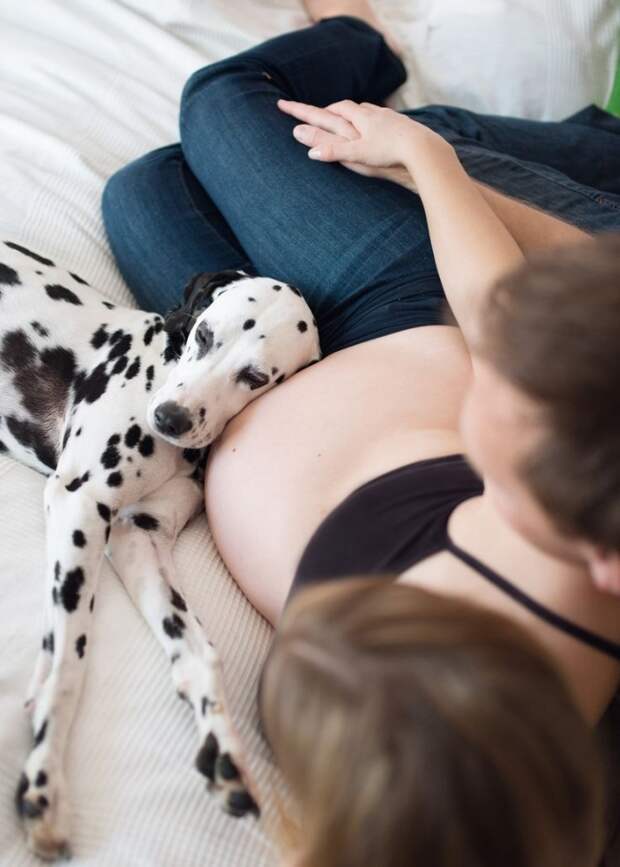 20 собак, которые ждут не дождутся рождения ребёнка 20 собак, которые ждут не дождутся рождения ребёнка