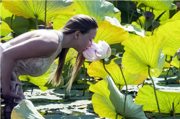 Где и когда в России можно полюбоваться цветочными пейзажами?