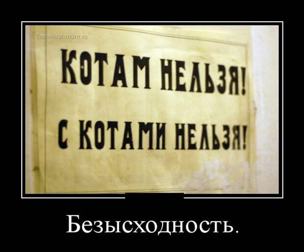 Демотиваторы №1018 (30 фото)
