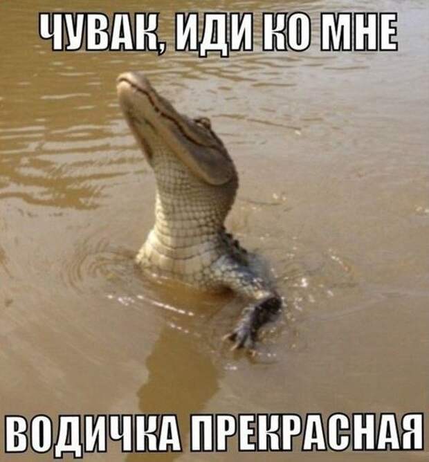 Прикольные картинки. Вечерний выпуск (54 фото)