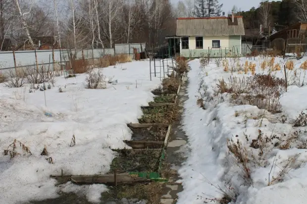 Огород Зимой Фото