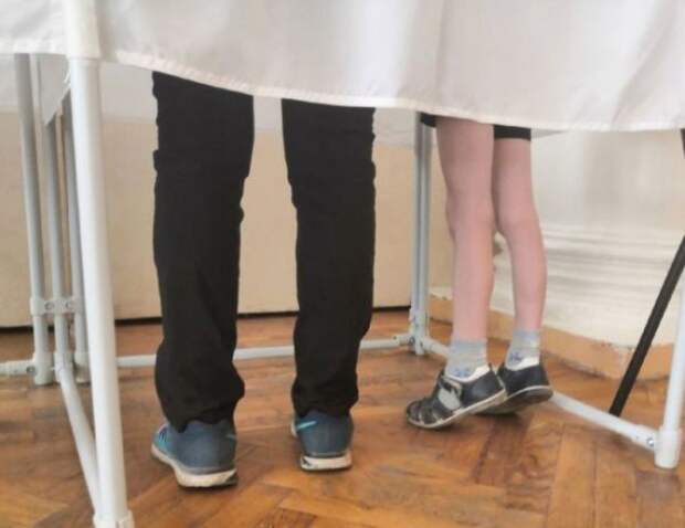 В Тульской области выборы в Госдуму назначили на 20 сентября