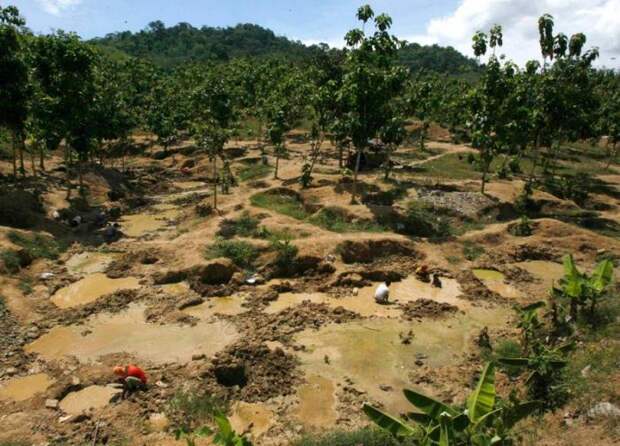 Золото (37 фото) Золото (37 фото)