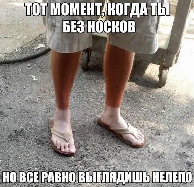 Смешные картинки с подписями  картинки, прикол, юмор