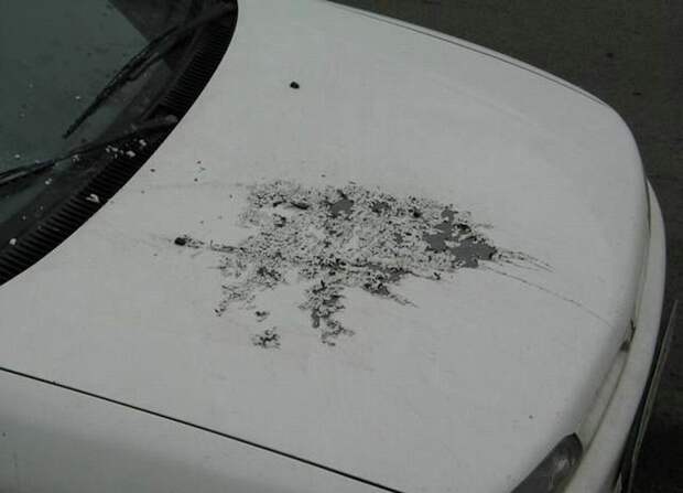 Автомобильная месть авто, месть