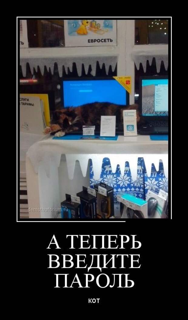Где сейчас наберу. Прикольные пароли. Введите пароль шутка. Приколы про ввод пароля. Введите прикол.