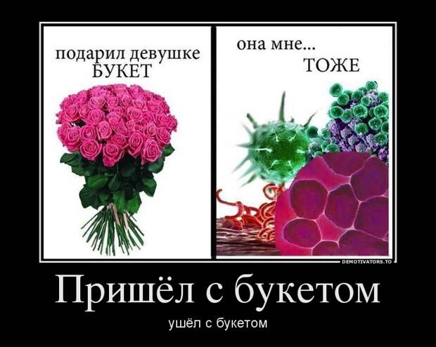Демотиваторы демотиваторы