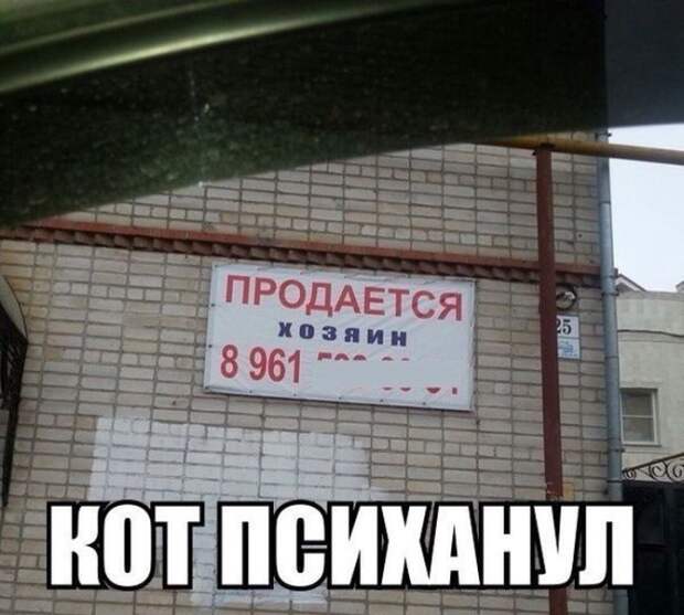 Смехопанорама. Лучшая подборка