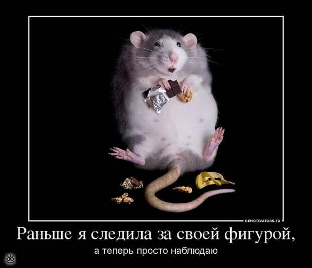 Утренняя зарядка демотиваторами 8