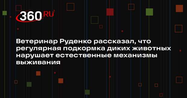 Ветеринар Руденко рассказал, что регулярная подкормка диких животных нарушает естественные механизмы выживания