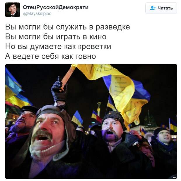 zqyqaKZNauk.jpg