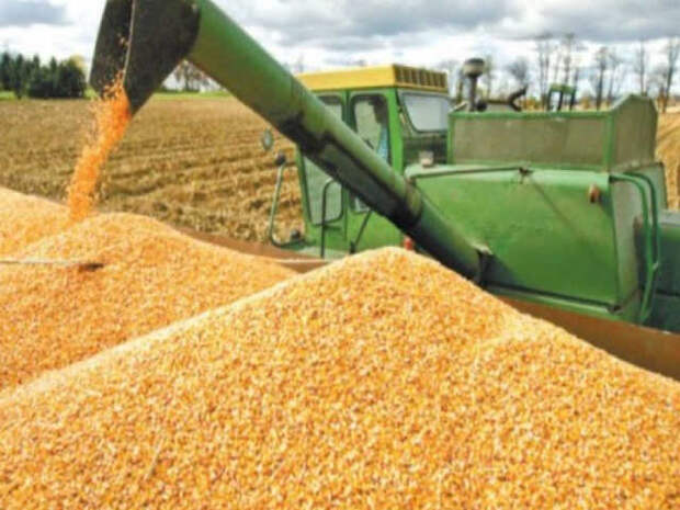 Зачем Запад хочет лишить Украину всей её пшеницы