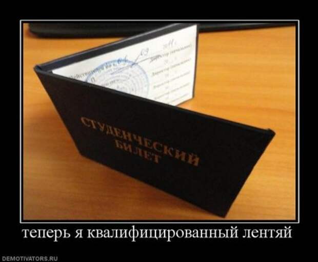 Мои любимые демотиваторы
