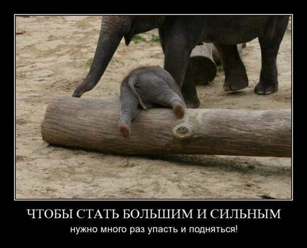Демотиваторы Демотиваторы демотиваторы, прикол, юмор