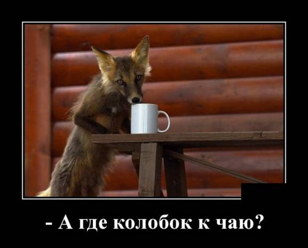 www.vsyako.net