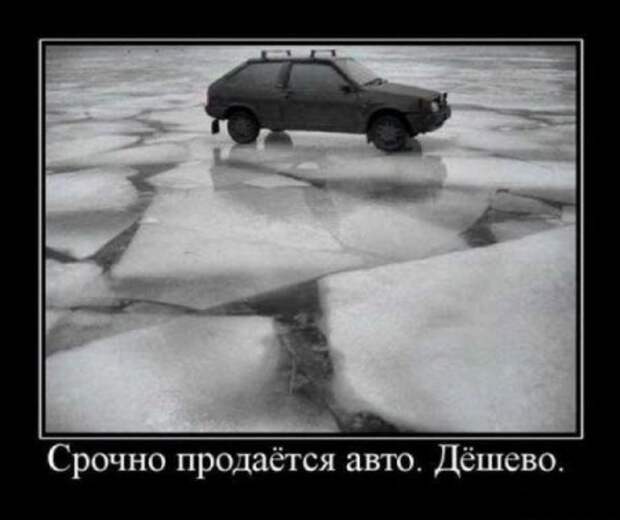 Демотиваторы автоприколы.
